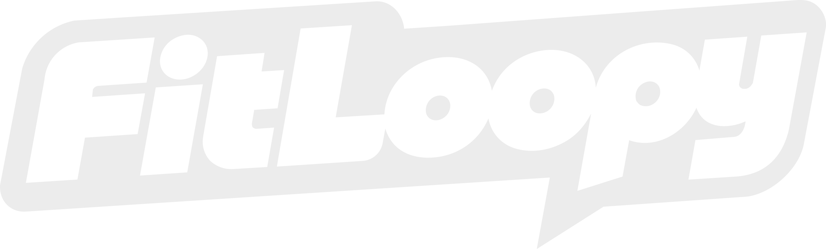 FitLoopy